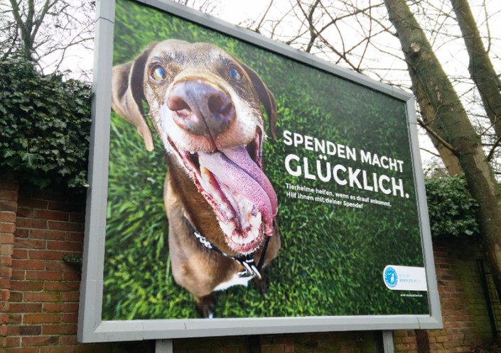 Deutschter Tierschutzbund – Spenden macht glücklich