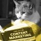 Content Marketing Agentur - Frese & Wolff