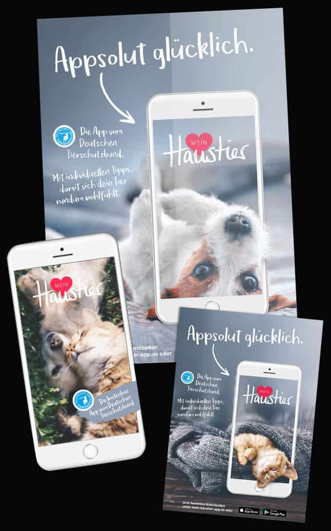 Von der Werbeagentur Frese & Wolff entwickelte Haustier-App für den deutschen Tierschutzbund, zu sehen sind Hunde und Katzen in niedlichen Positionen