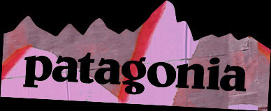 patagonia - Nachhaltigkeit - Purpose Marketing