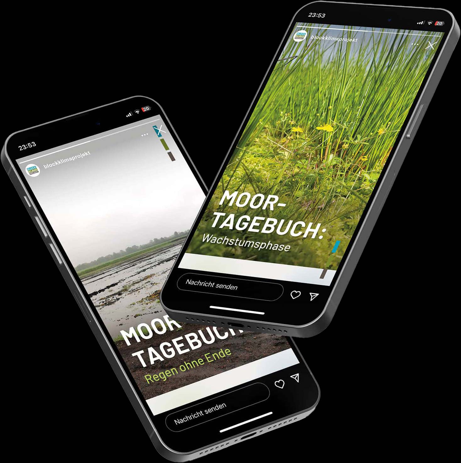 Von der Werbeagentur Frese & Wolff entwickelte Instagram Stroy für Block-Klimaprojekt, zu sehen ist eine Aufnahme von einem saftig grünen Moor