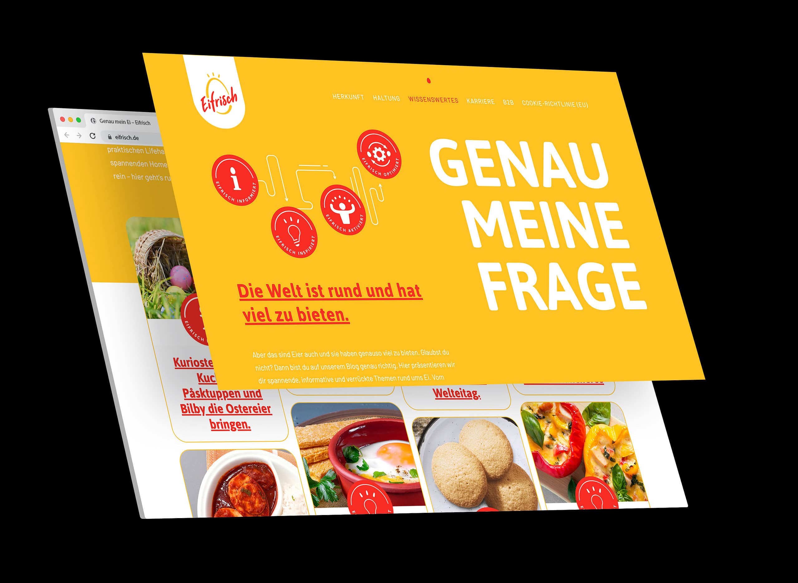 Eifrisch Website