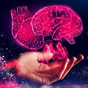 Kommuni&shy;ka&shy;tions&shy;strategie-Agentur